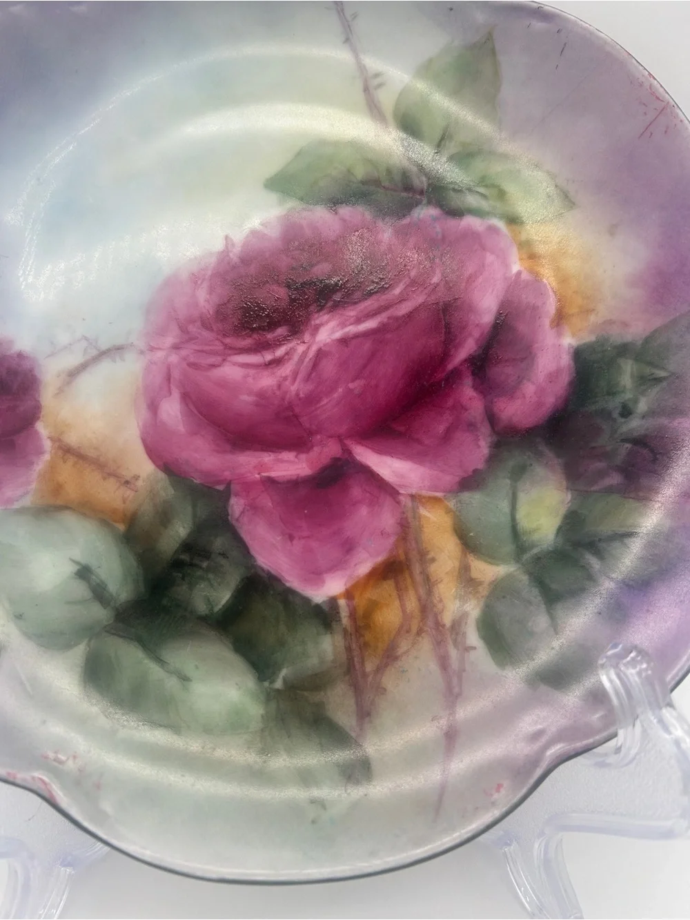 Antique Hutschenreuther Alice Bavaria Hand Painted Pink Roses Plate 1900-1920